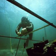 James Matthews Underwater 1975